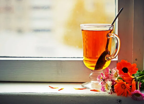 Closeup View Fresh Tea Cup Window — Stock Photo, Image