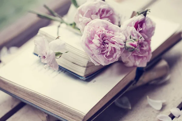 Close Pink Flowers Open Books — Stock Photo, Image