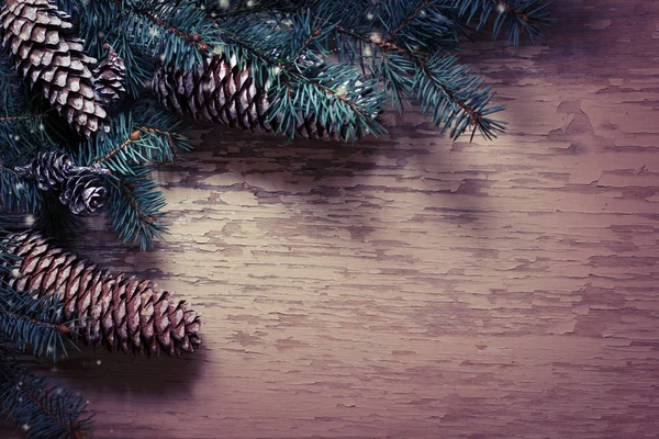 크리스마스 장식으로 소나무 — 스톡 사진