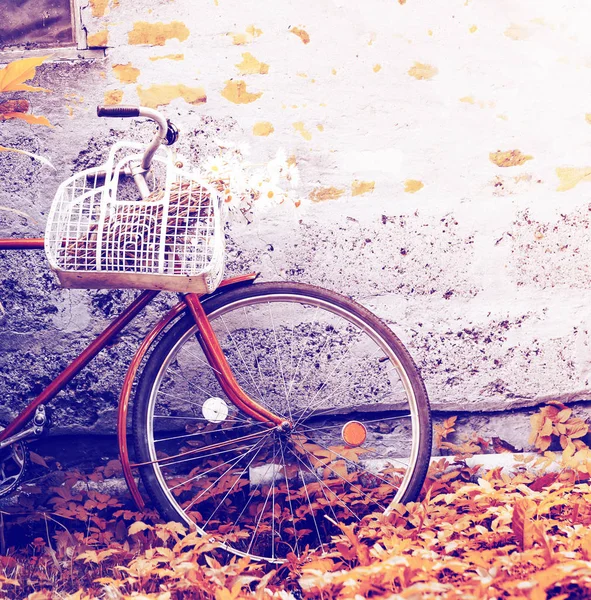 Vieux Vélo Rouge Avec Des Fleurs Dans Panier Dans Village — Photo