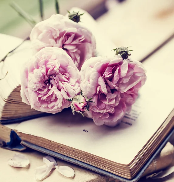 積み上げ古書にピンクの牡丹のバラ — ストック写真