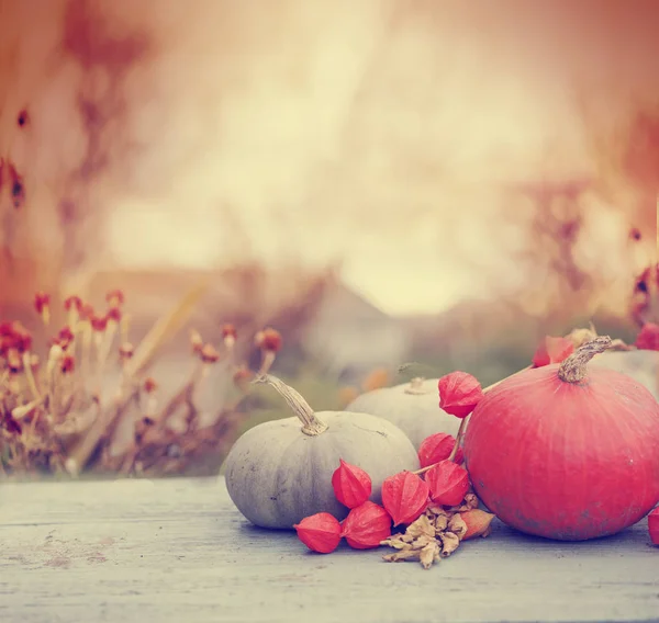 Güz Pumpkins Ahşap Rustik Masa Üzerinde — Stok fotoğraf