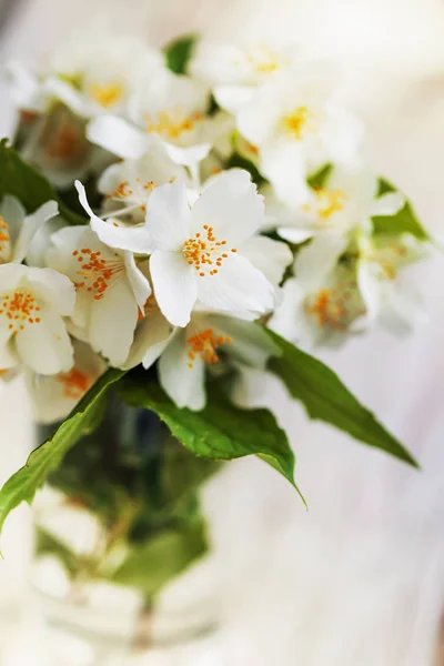 Frisch Geschnittene Elegante Weiße Blumen Der Vase — Stockfoto