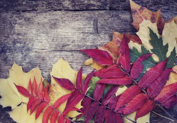 Bovenaanzicht Van Herfstbladeren Geplaatst Hoop Houten Achtergrond — Stockfoto