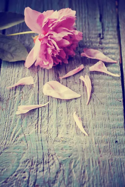 Розовый Цветок Деревенском Деревянном Столе — стоковое фото