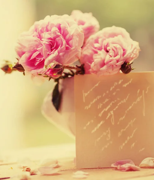 Вид Крупным Планом Красивые Розовые Розы Горшке — стоковое фото