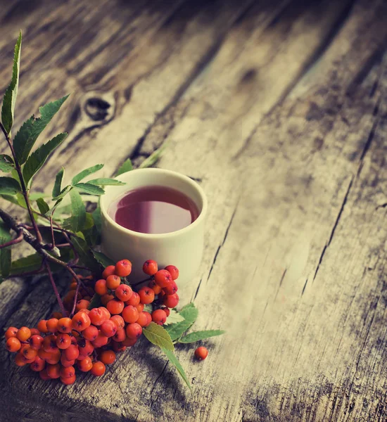 Vista Ravvicinata Della Tazza Rosso Fresco Con Bacche Rami — Foto Stock