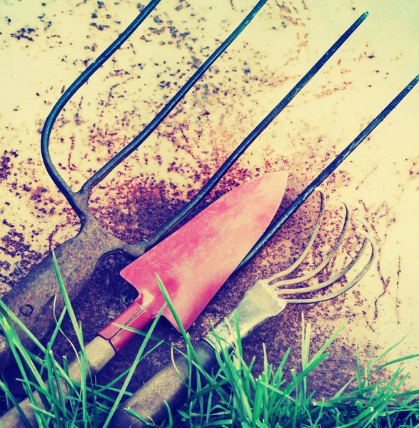 Closeup View Old Garden Tools Ground — Stock Photo, Image