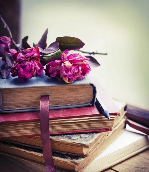 Dry Roses Old Vintage Books Pencil — Stock Photo, Image