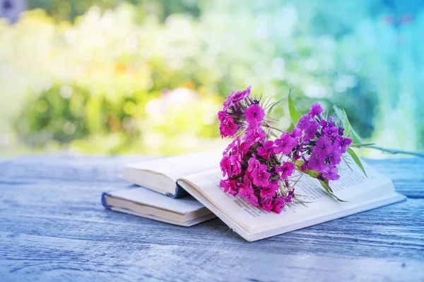 Erstaunliche Blühende Blumen Mit Laub Und Kräutern — Stockfoto
