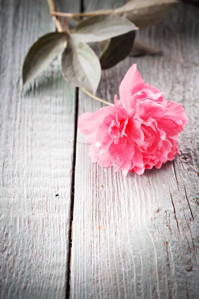 素朴な木製のテーブルの上のピンクの花 — ストック写真