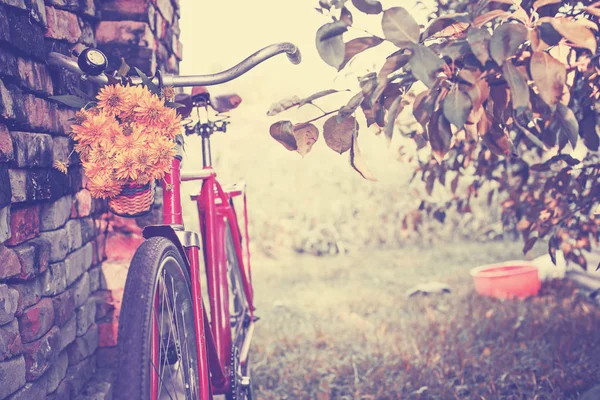 Schöne Natur Mit Fahrrad Auf Der Wiese — Stockfoto