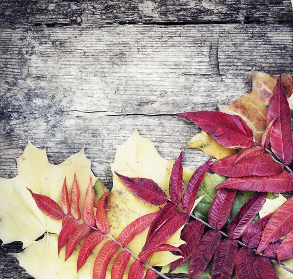 Vista Superior Las Hojas Otoño Colocadas Sobre Fondo Madera — Foto de Stock