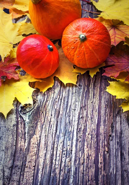 Ahşap Masa Üzerinde Pumpkins Ile Yığın Yerleştirilen Sonbahar Yaprak Üstten — Stok fotoğraf