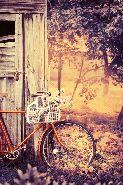 Красивая Природа Велосипедом Травянистом Лугу — стоковое фото