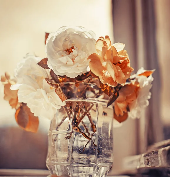 Rosa Branca Bege Corte Fresco Vaso — Fotografia de Stock