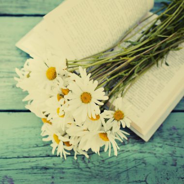 ahşap masa üzerinde açık kitap üzerine taze kesilmiş chamomiles buket