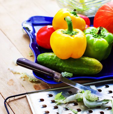 plaka üzerinde ham mevsim sebzeleri ile rende ahşap tablo 