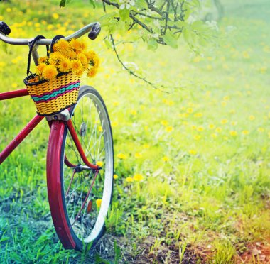 vintage bisiklet üzerinde asılı dandelions sepetle closeup görünümü