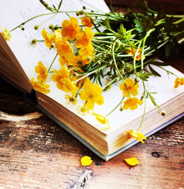 ahşap masa üzerinde açık kitap üzerine sarı kır çiçekleri