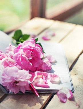 pembe şakayık güllerinin bahçe ahşap masa üstünde defter açmak