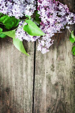 Ahşap zemin üzerine yeşil yaprakları ile yumuşak leylak