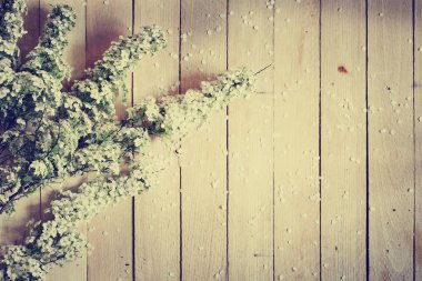 Ahşap arka plan üzerinde güzel çiçek açan çiçekler