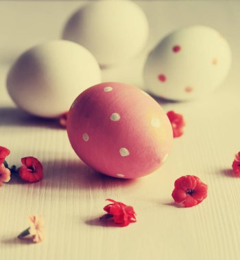 renkli boyalı Paskalya yumurtaları closeup görünümü