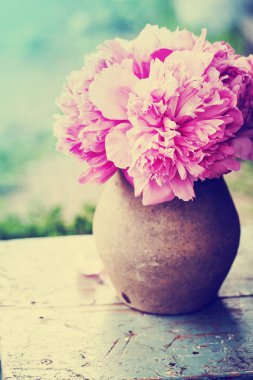 taze pembe peonies ahşap tablo açık havada vazoda