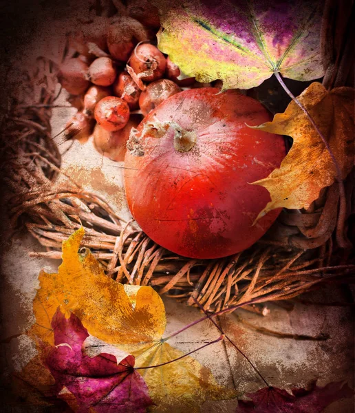 Güz Pumpkins Yaprakları Doğaçlama Yuvaya — Stok fotoğraf