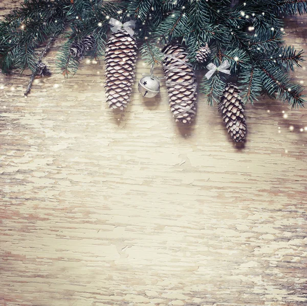 소나무 전나무 크리스마스 나뭇가지의 — 스톡 사진