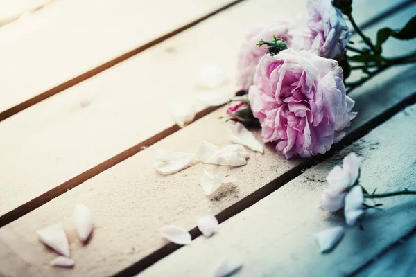 Fresh Cut Peony Roses Wooden Table — Stock Photo, Image