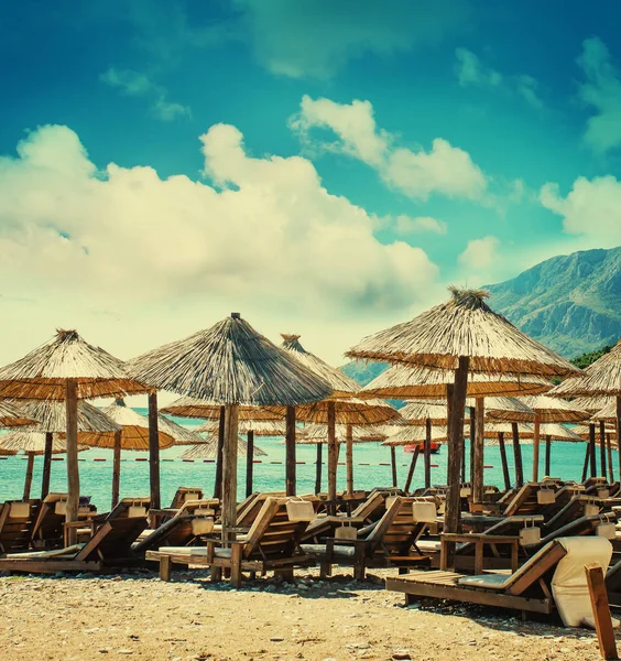 Scenic View Palm Umbrellas Beach — Stock Photo, Image