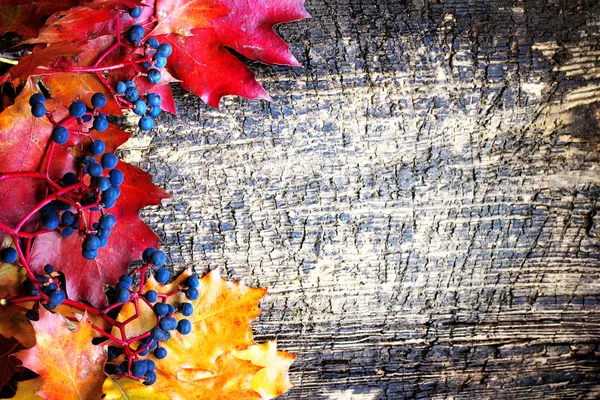 Pohled Shora Podzimní Listí Plodů Dřevěný Stůl — Stock fotografie