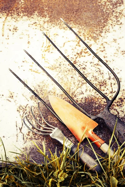 Closeup View Old Garden Tools Ground — Stock Photo, Image