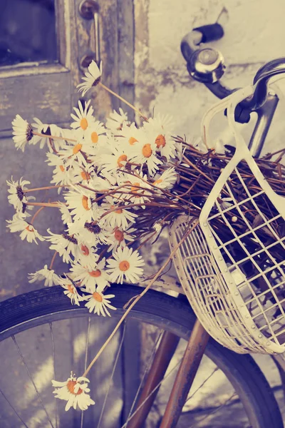 Vicino Vintage Vecchia Bicicletta Con Camomille Nel Cestino — Foto Stock