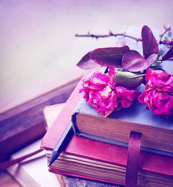 Rosas Secas Viejos Libros Vintage Con Lápiz — Foto de Stock