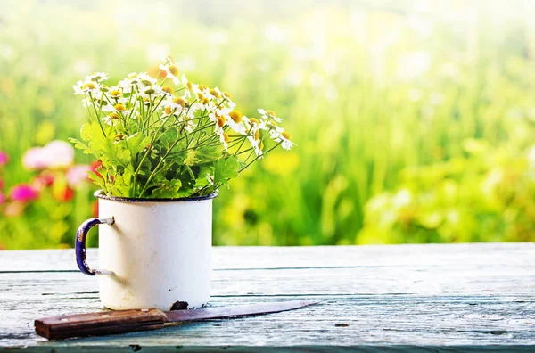 素朴な木製のテーブルを屋外にマグカップで新鮮な鎮静の花束 — ストック写真