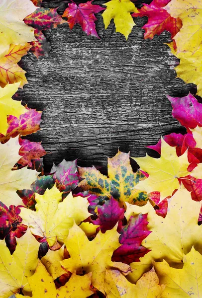 Top View Autumn Leaves Placed Heap — Stock Photo, Image