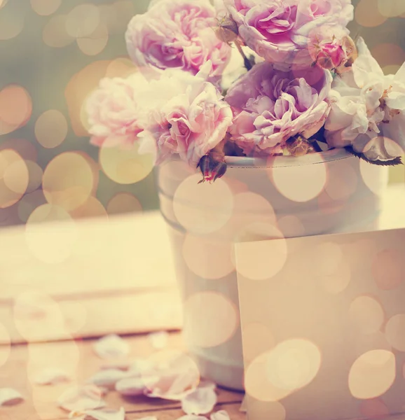 ポットの美しいピンクのバラのクローズ アップ ビュー — ストック写真