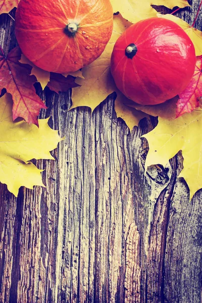 在木桌上放置在南瓜堆上的秋叶的顶部视图 — 图库照片