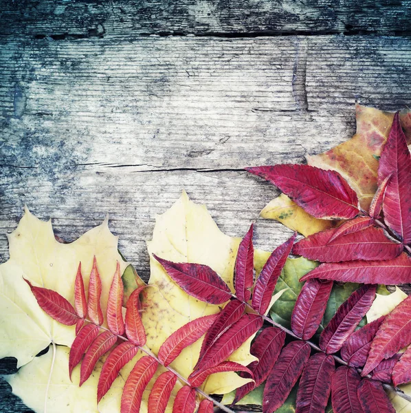 Pohled Shora Podzim Listy Dřevěný Stůl Kopií Prostor — Stock fotografie
