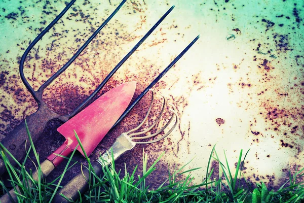 Closeup View Old Garden Tools Ground — Stock Photo, Image