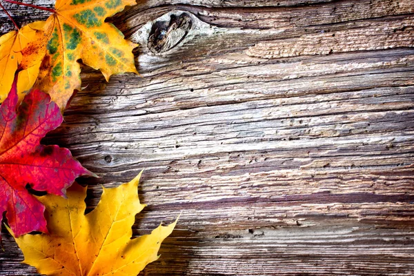 木製のテーブルに紅葉の平面図 — ストック写真