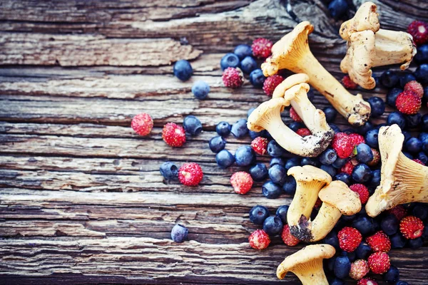 Fraises Sauvages Fraîches Cueillies Avec Des Bleuets Des Champignons Chanterelle Photo De Stock