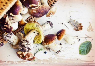 Yaprakları ve beyaz arka plan üzerinde sepet ile ham ve kirli mantar