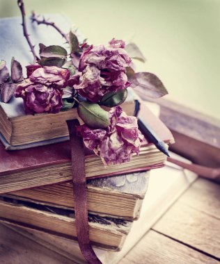 Eski kitaplar vintage güllerinin kalemle Kuru 