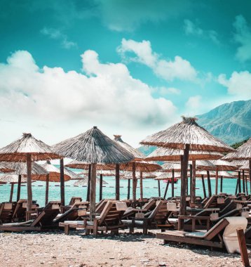 palm şemsiye plajda doğal görünümü