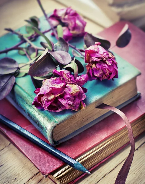 Сухие Розы Старинных Книгах Карандашом — стоковое фото