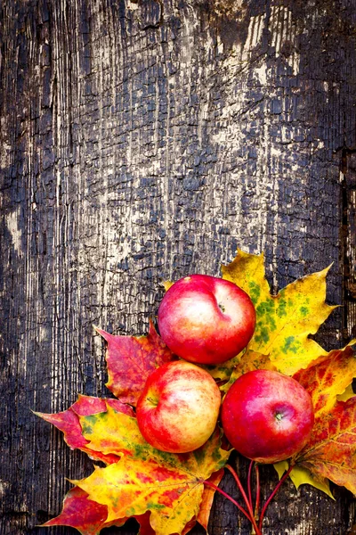 Rode Appels Met Gele Bladeren Houten Achtergrond — Stockfoto